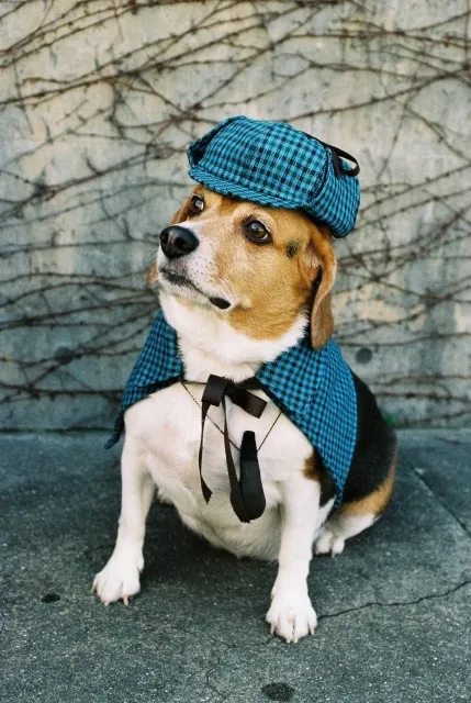 探偵業界の主役：浮気・不倫調査の実態と現代社会の裏側 🔍