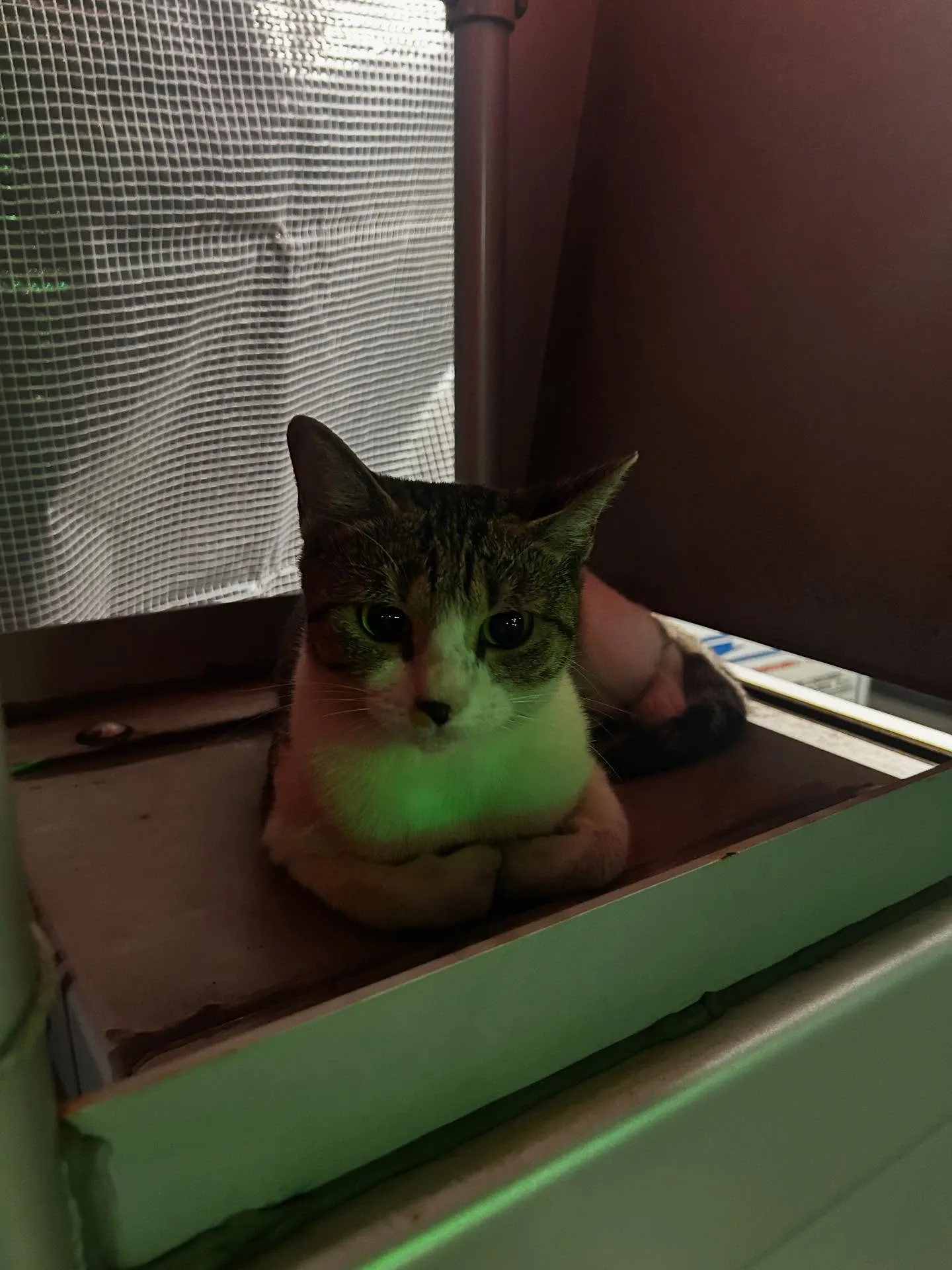 こんなとこで寝るー？