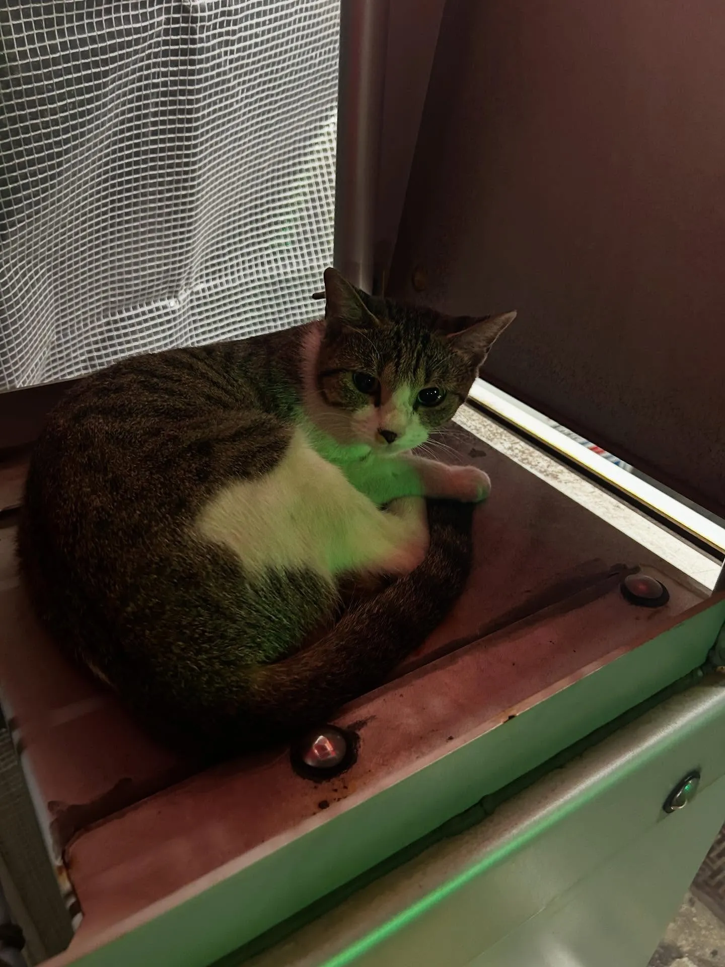 こんなとこで寝るー？